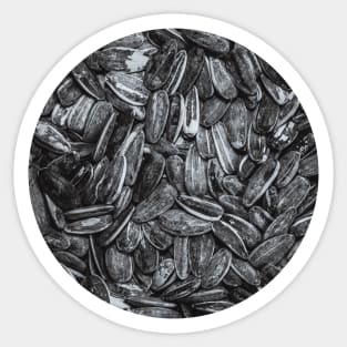 Sunflower Seeds Black and White Photo Circle Sticker